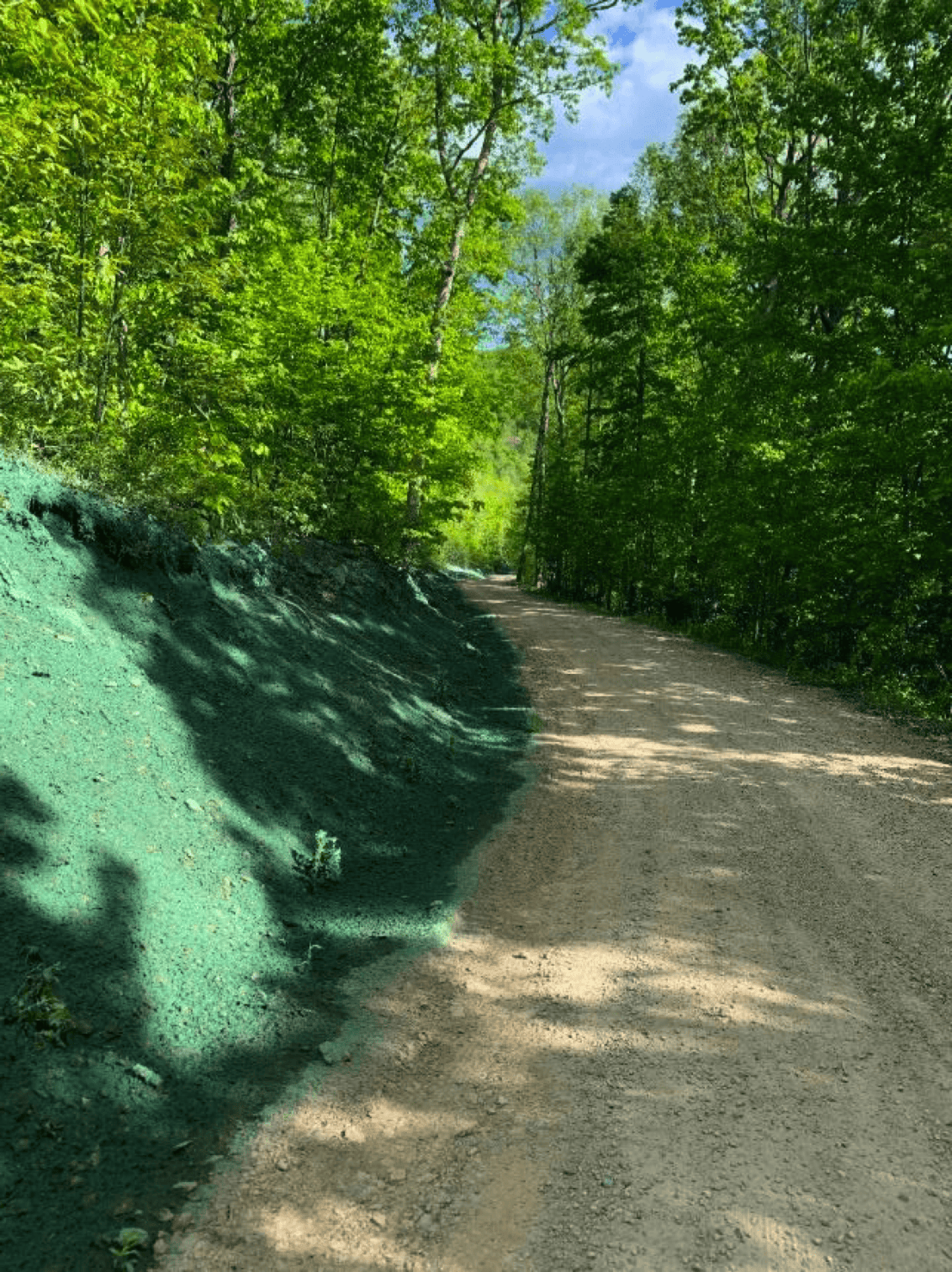 K & H Landscaping Services-1-grow_grass_on_a_hill