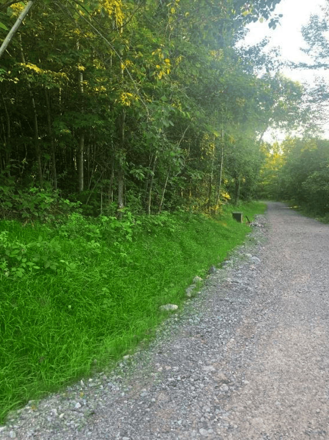 K & H Landscaping Services-2-grow_grass_on_a_hill